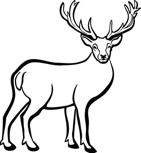 pictures of a buck|printable pictures of a buck.